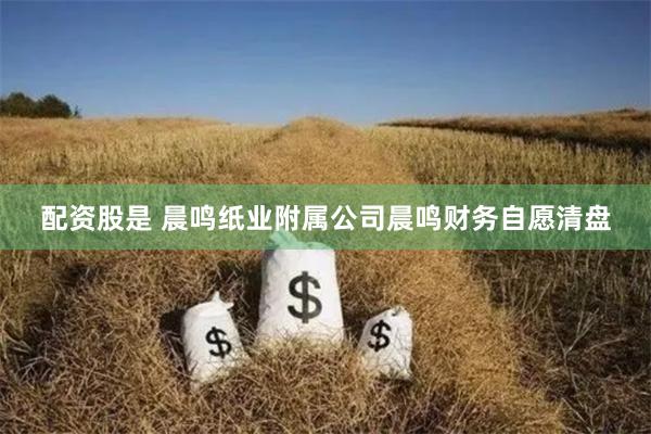 配资股是 晨鸣纸业附属公司晨鸣财务自愿清盘