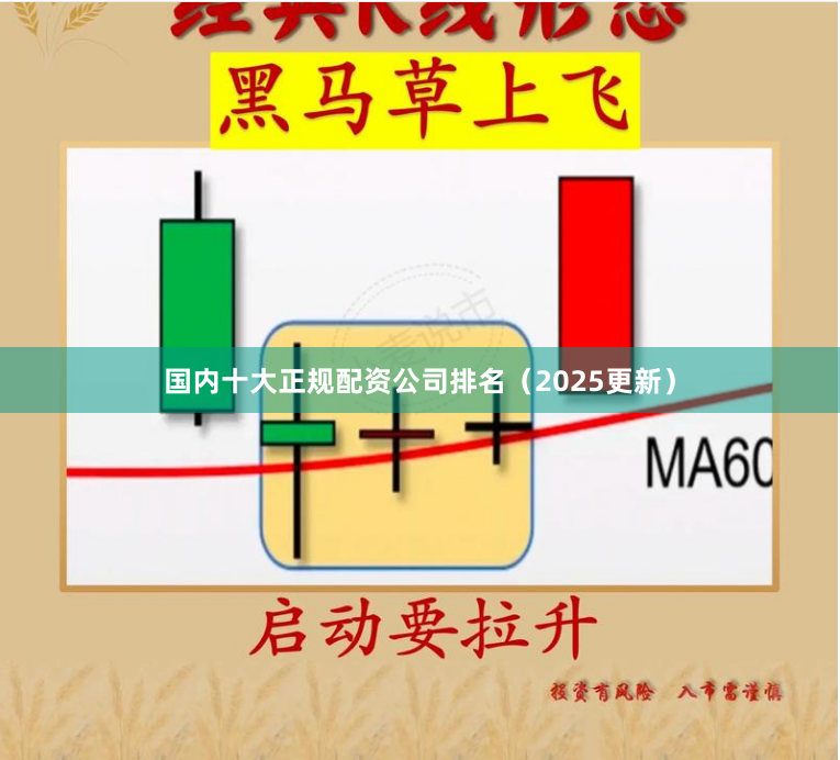 国内十大正规配资公司排名（2025更新）